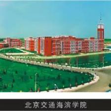 5f1d02a9778eb_r_225x225